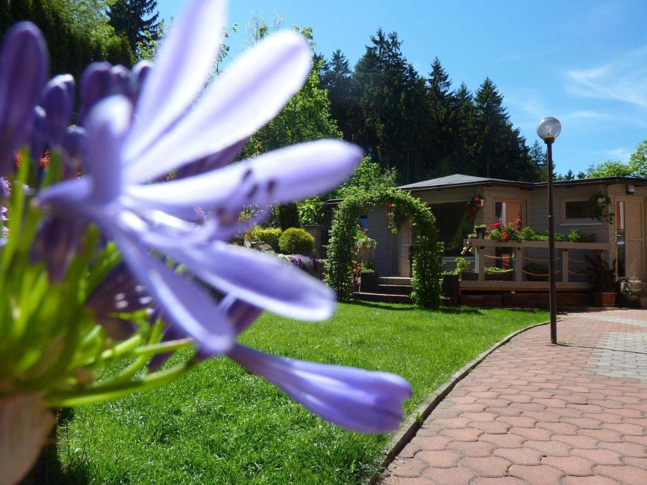 Pension Ayky Jablonec nad Nisou Exterior photo